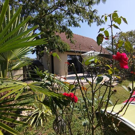 L'Albizia Gite Climatise St Maurice Saint-Maurice-en-Riviere Buitenkant foto