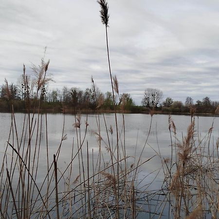 L'Albizia Gite Climatise St Maurice Saint-Maurice-en-Riviere Buitenkant foto